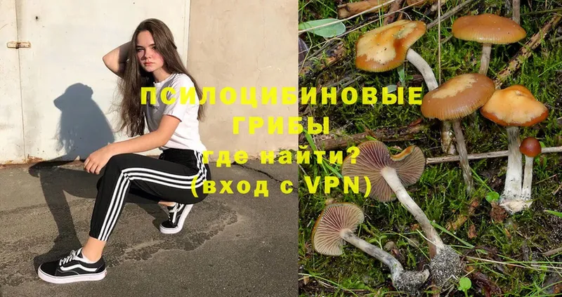 Галлюциногенные грибы Magic Shrooms  где купить наркоту  Невельск 